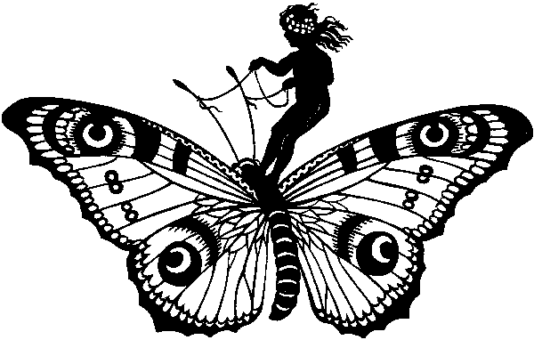 Schnitzel & Steakhaus Butterfly  Duderstadt